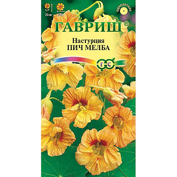 Настурция Пич Мельба Гавриш Ц 
