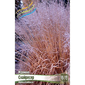 Молиния Скайресер 2/3 25 шт Биг-Пак 4658 