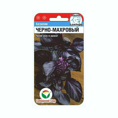 Базилик Черно-махровый СибСад Ц
