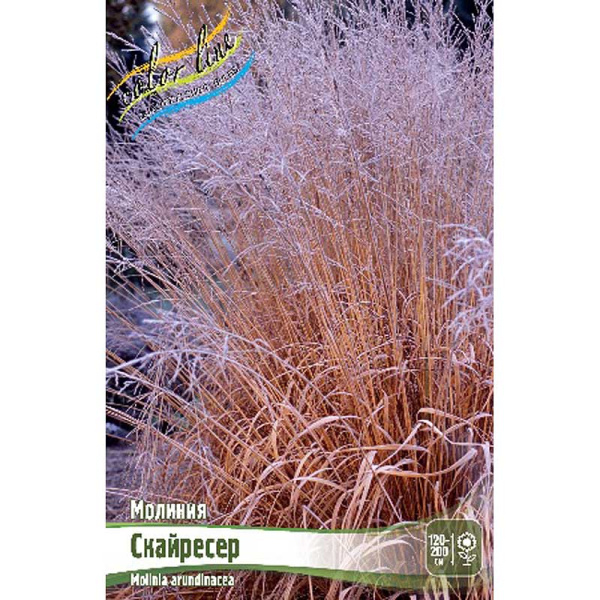 Молиния Скайресер 2/3 25 шт Биг-Пак 4658 