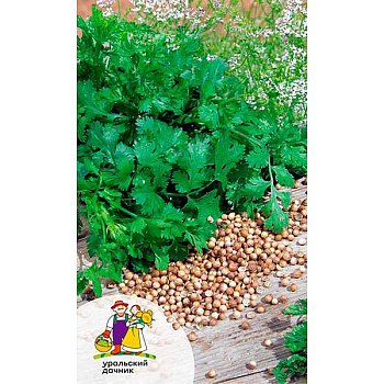 Кориандр Тётушка марико Марс Ц