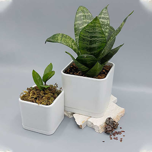 Горшок 0,2л белый 104/7.5-1 х36 