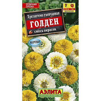 Хризантема Голден Увенчанная Аэлита Ц 