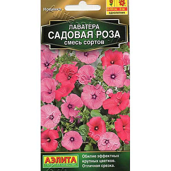 Лаватера Садовая роза Аэлита Ц 