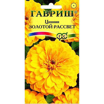 Циния Золотой рассвет Гавриш Ц 
