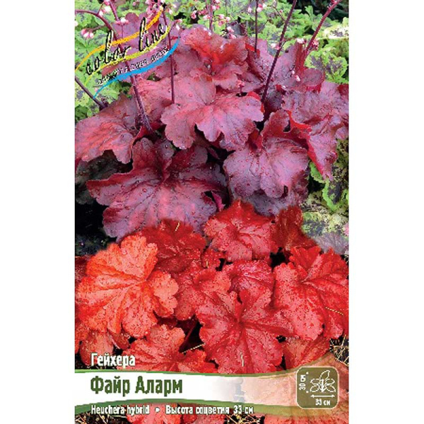 Гейхера Файр Аларм I 25 шт Биг-пак 2523