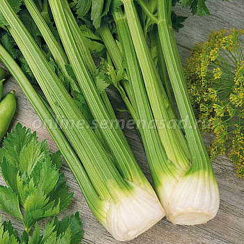 Сельдерей Юта черешковый и листовой 1кг Поиск