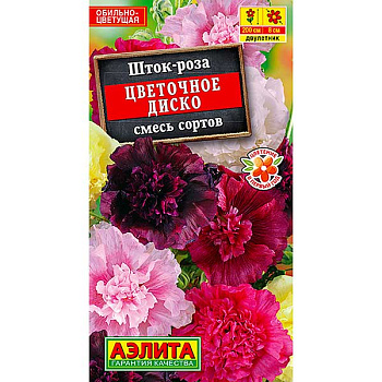 Шток-роза Цветочное диско Аэлита Ц 