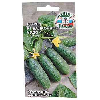 Огурец Балконное чудо 4 Седек