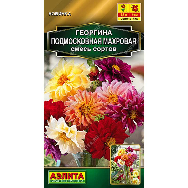 Георгин Подмосковная махровая смесь Аэлита Цх10 