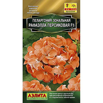 Пеларгония Рафаэлла персиковая Аэлита Ц 