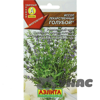 Иссоп лекарственный голубой Аэлита Ц x10