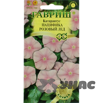 Катарантус Пацифика Розовый лед Гавриш Цх10 