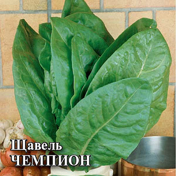 Щавель Чемпион 50гр Фермер Гавриш Ц