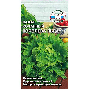 Салат Королева льда (айсберг) Седек Ц