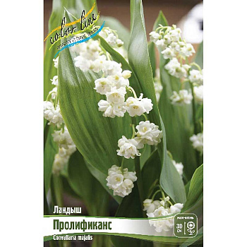 Ландыш Пролификанс I 1 шт 