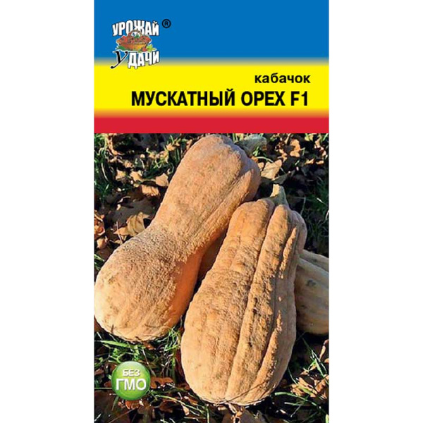 Семена Кабачок Мускатный орех Урожай у дачи Ц