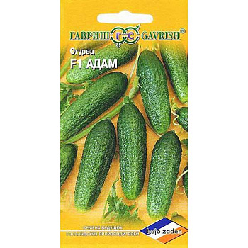 Огурец Адам Гавриш Ц