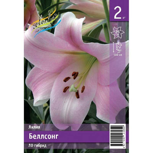 Лилия Беллсонг 12/14 2 Эконом шт 