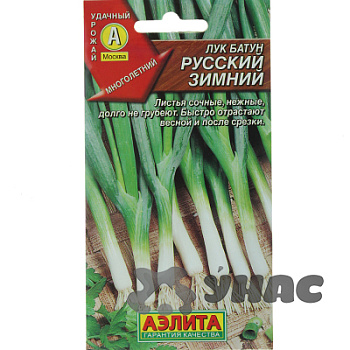 Лук батун Русский зимний Аэлита Ц