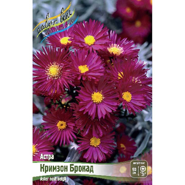 Астра Кримзон Брокад I 1 шт