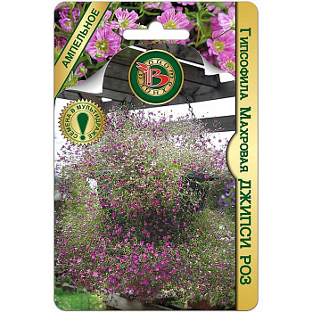 Гипсофила Джипси Роз махр. Биотехника Ц 