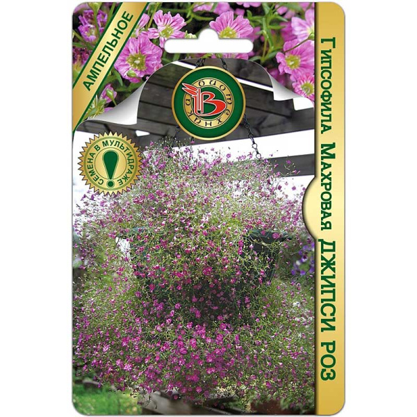 Гипсофила Джипси Роз махр. Биотехника Ц 