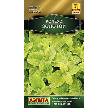 Колеус Золотой блюме Аэлита Ц 