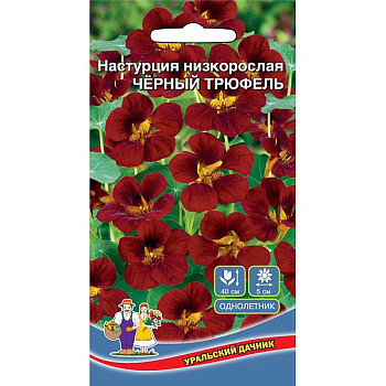 Настурция Чёрный Трюфель Марс Ц 