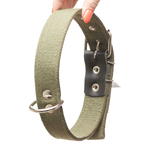 Ошейник брезент ширина 35 мм, двойной 65 см с вынесенным кольцом усиленный