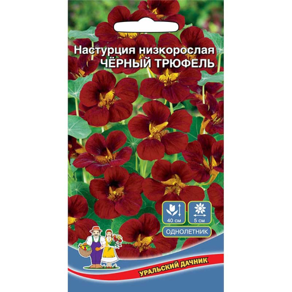 Настурция Чёрный Трюфель Марс Ц 