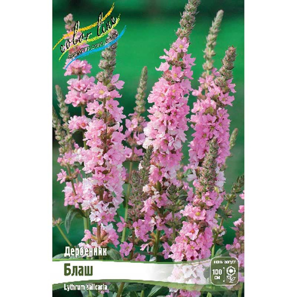 Дербенник Иволистный Блаш I 25 шт Биг-Пак 8346