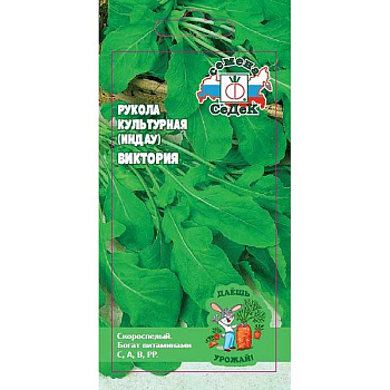 Рукола Виктория (рокет салат) Седек Ц x10