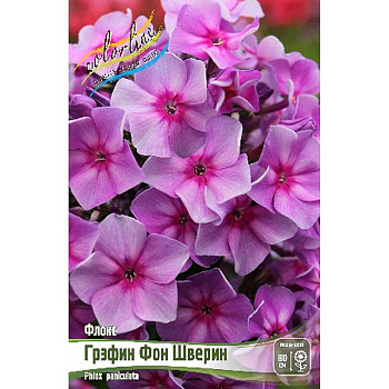 13420 Биг-Пак Флокс Грэфин Фон Шверин I 25 шт 