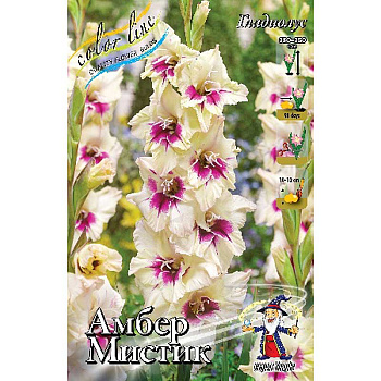 Гладиолус Амбер Мистик 10/12 100 шт Шоу-бокс 9576