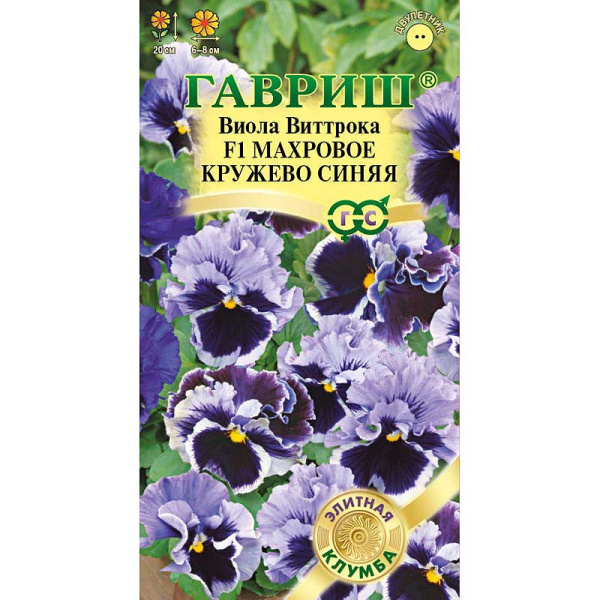 Виола Виттрока Махровое кружево синяя Гавриш Ц 