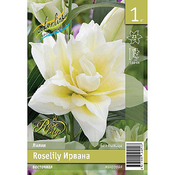 Лилия Roselily Ирвана 12/14 1 Эконом шт 