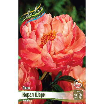 Пион Корал Шарм 3/5 n 15 шт Биг-Пак 6520 