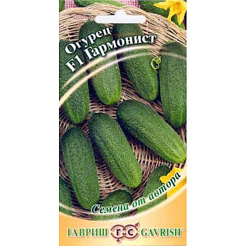 Огурец Гармонист Гавриш Ц