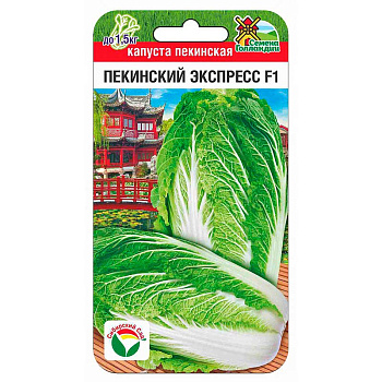 Капуста пекинская Пекинский экспресс СибСад Ц