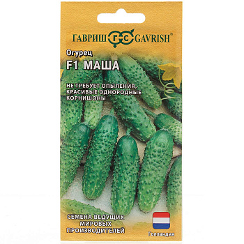 Огурец Маша Гавриш Ц