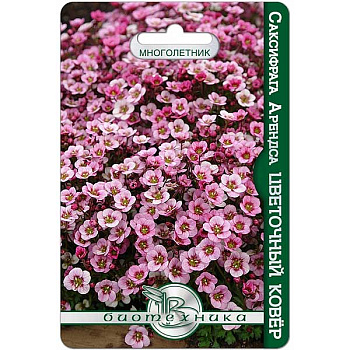 Саксифрага Арендса Цветочный ковер Биотехника Цх10 