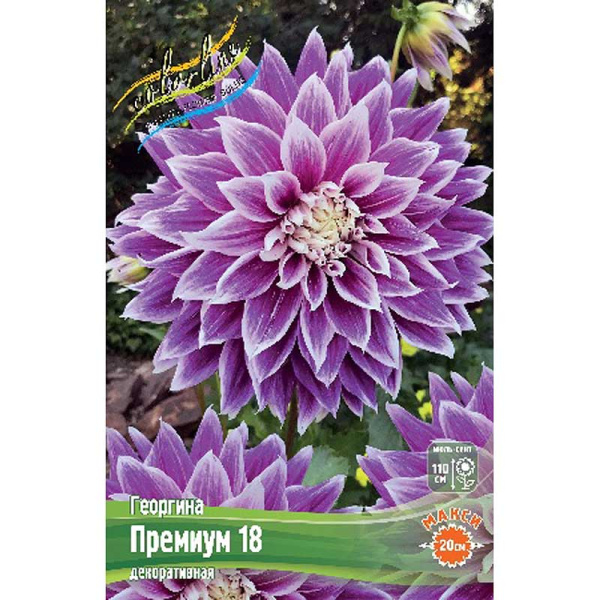 Георгина Премиум 18 I 15 шт Шоу-Бокс 11014