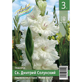 Гладиолус Св. Дмитрий Солунский 10/12 3 Эконом шт 