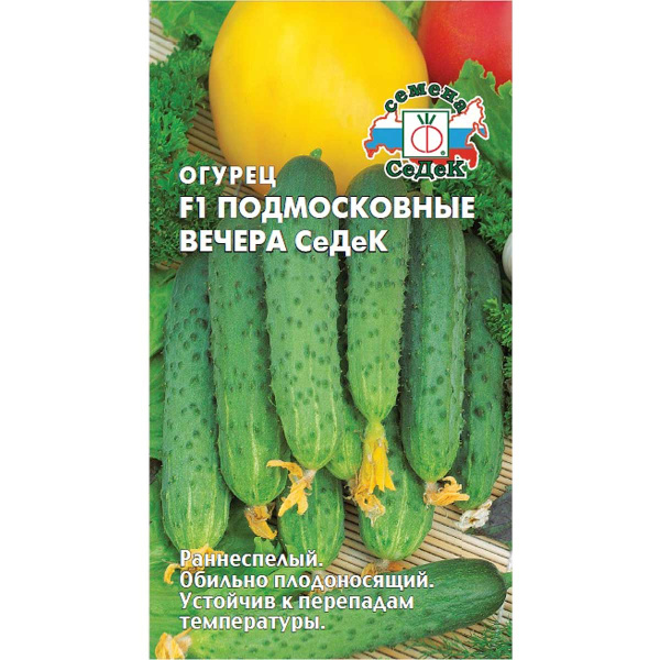 Огурец Подмосковные вечера СеДек Седек Ц