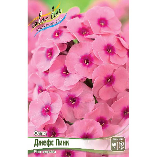 Флокс Джефс Пинк I 2 шт