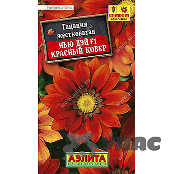 Гацания Нью Дэй красный ковер Аэлита Ц 