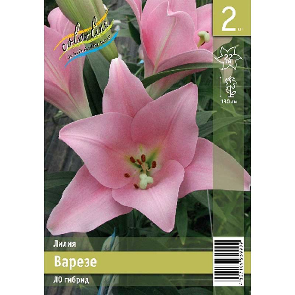 Лилия Варезе 10/12 2 Эконом шт