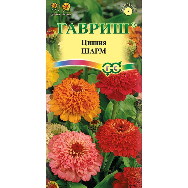 Циния Шарм Гавриш Ц 