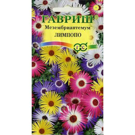 Мезембриантемум Лимпопо  Гавриш Ц 